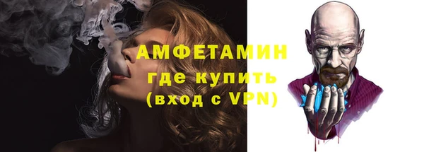 прущие грибы Лабытнанги