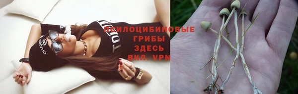 хмурый Алагир