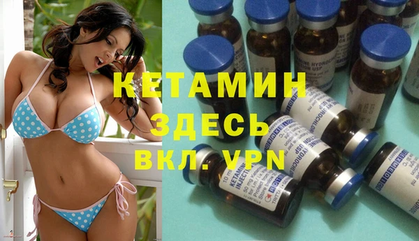 прущие грибы Лабытнанги