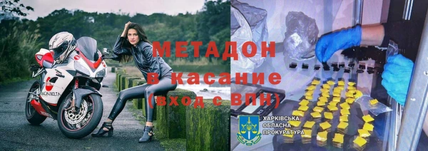прущие грибы Лабытнанги