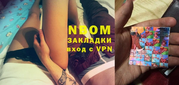 прущие грибы Лабытнанги